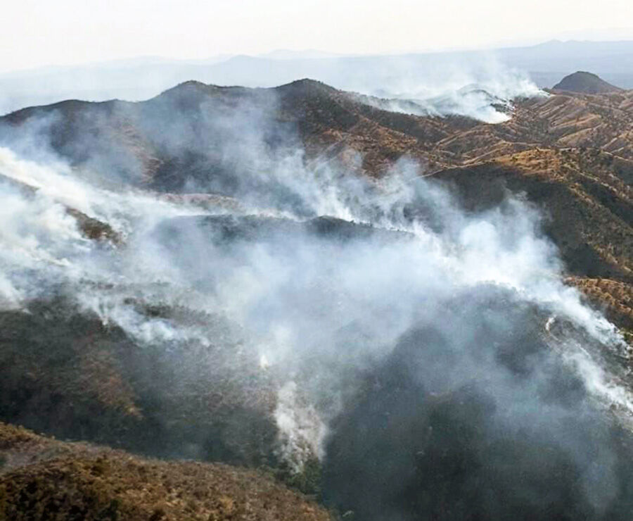 Alamo Fire